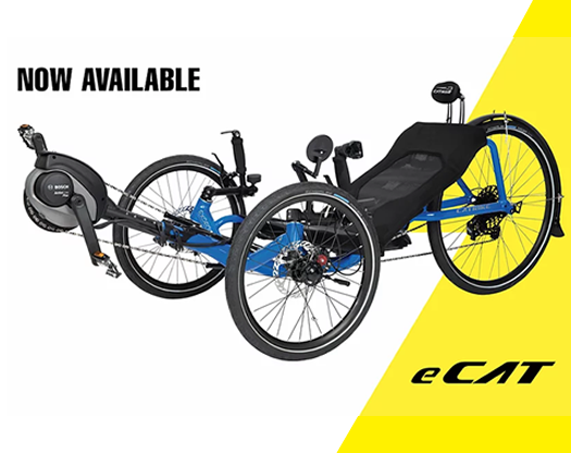 New Catrike ECATS