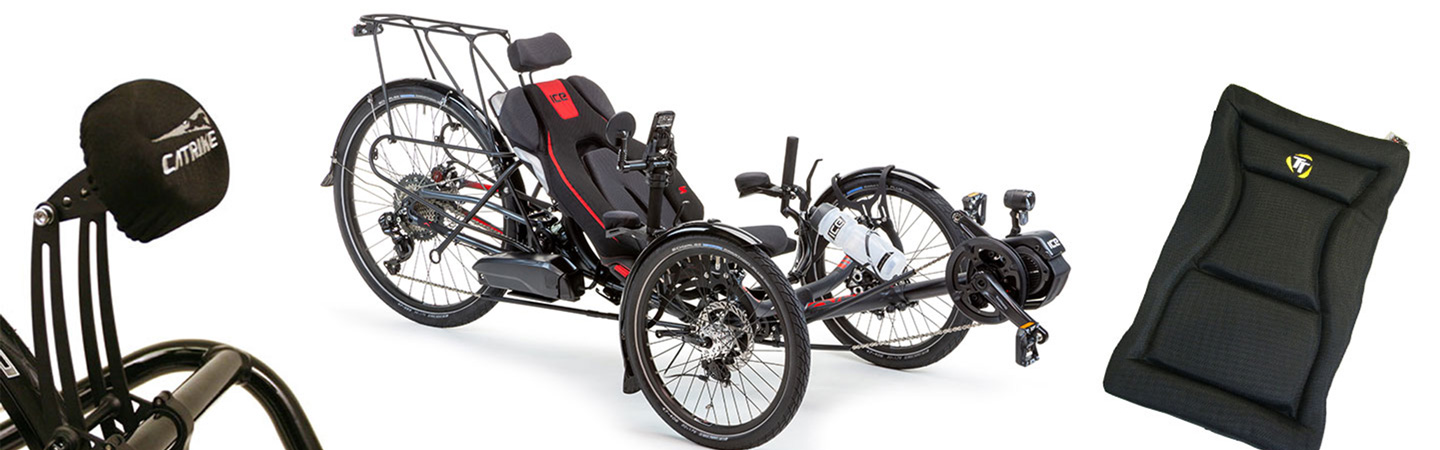 Recumbent trike accessories including a Catrike headrest, TerraTrike seat pad, and ICE Sprint