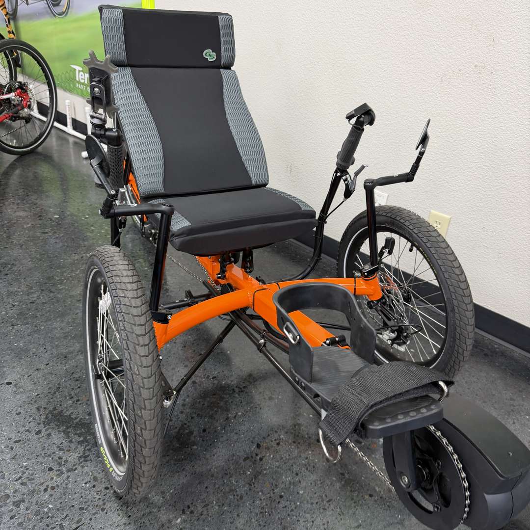 GreenSpeed Magnum Big Wheel — Custom Bosch / Enviolo Automatic Demo