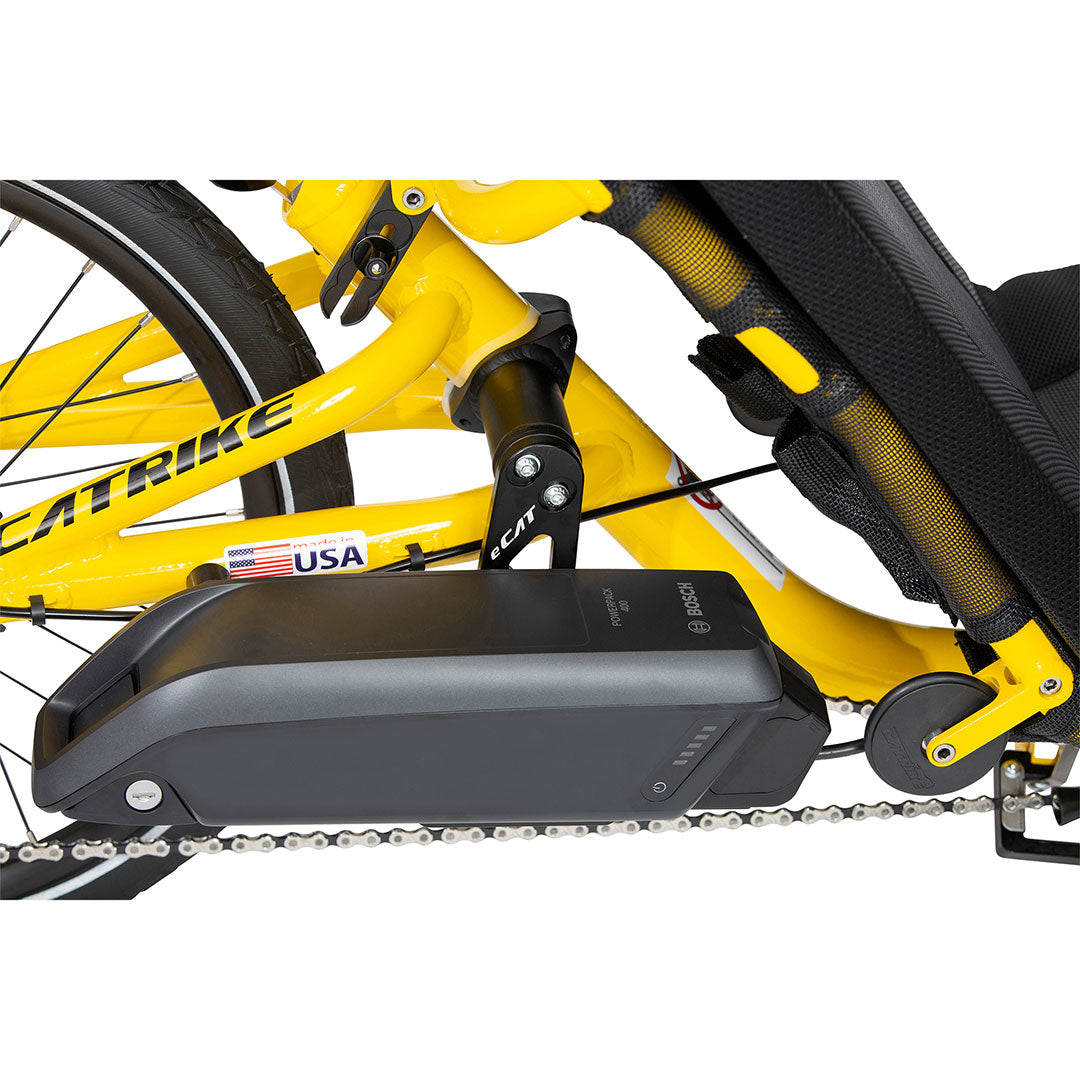 Catrike eCat Trail drive chain side view with close up of Bosch motor