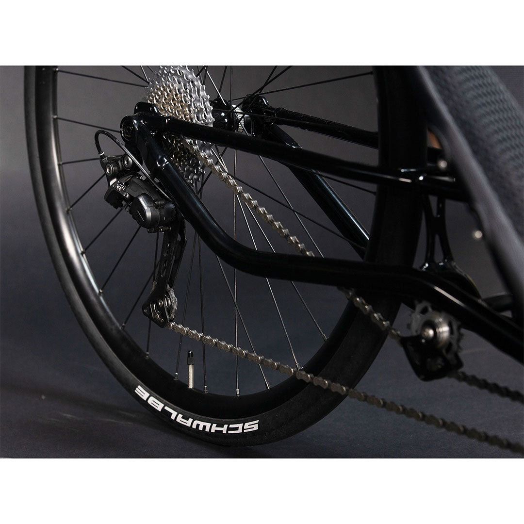 TerraTrike Spyder drive chain rear wheel