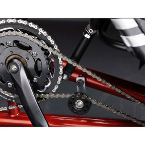 TerraTrike Tandem Pro drive chain side view close up of chain mechanism