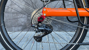 AZUB TRIcon GR drivetrain detail with Syntace rear hub, cassette, and derailleur