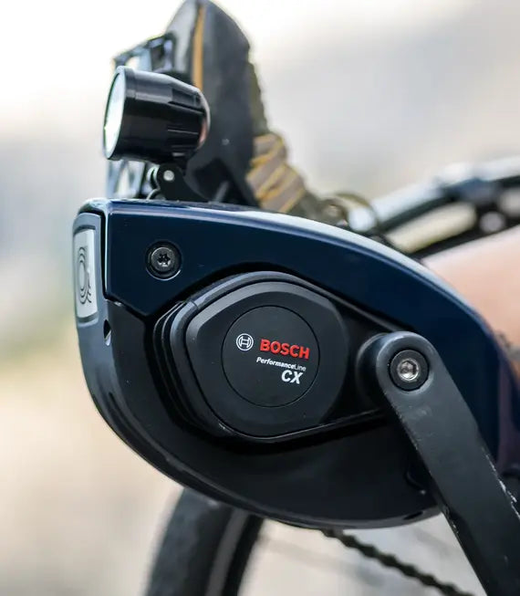 Bosch Performance CX electric assist motor on the AZUB T-Tris AR recumbent trike