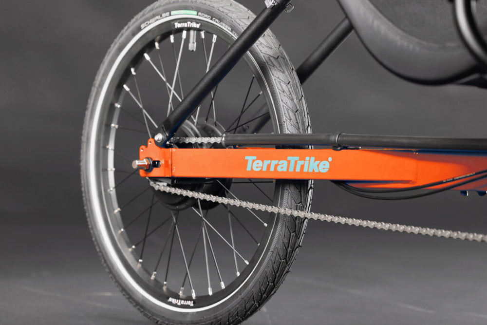 Enviolo Heavy Duty internally geared rear hub on the Habanero TerraTrike Rover Tandem e+