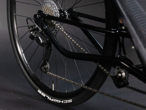 700c rear hub on the TerraTrike Spyder e+