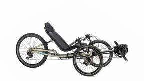 TerraTrike GTS e+ three-quarter view in Fog