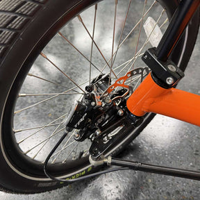 GreenSpeed Magnum Big Wheel — Custom Bosch / Enviolo Automatic Demo