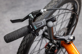 Bosch controller on the Gran Tourismo e+