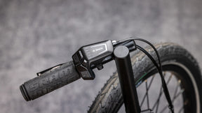 Bosch LED console on the Traveler e+